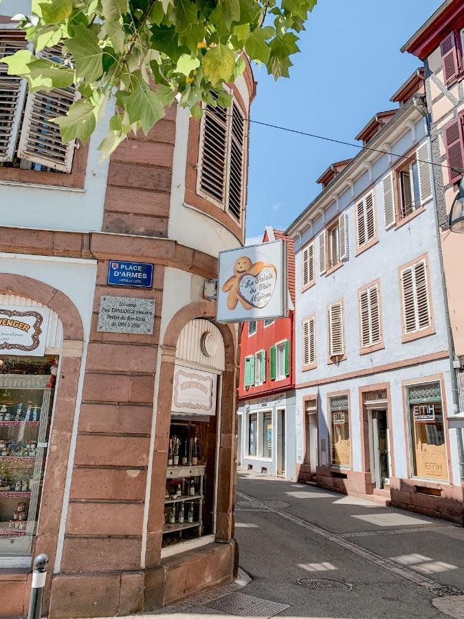 Le Nid Cosy - En Plein Coeur De Selestat Apartment Exterior photo