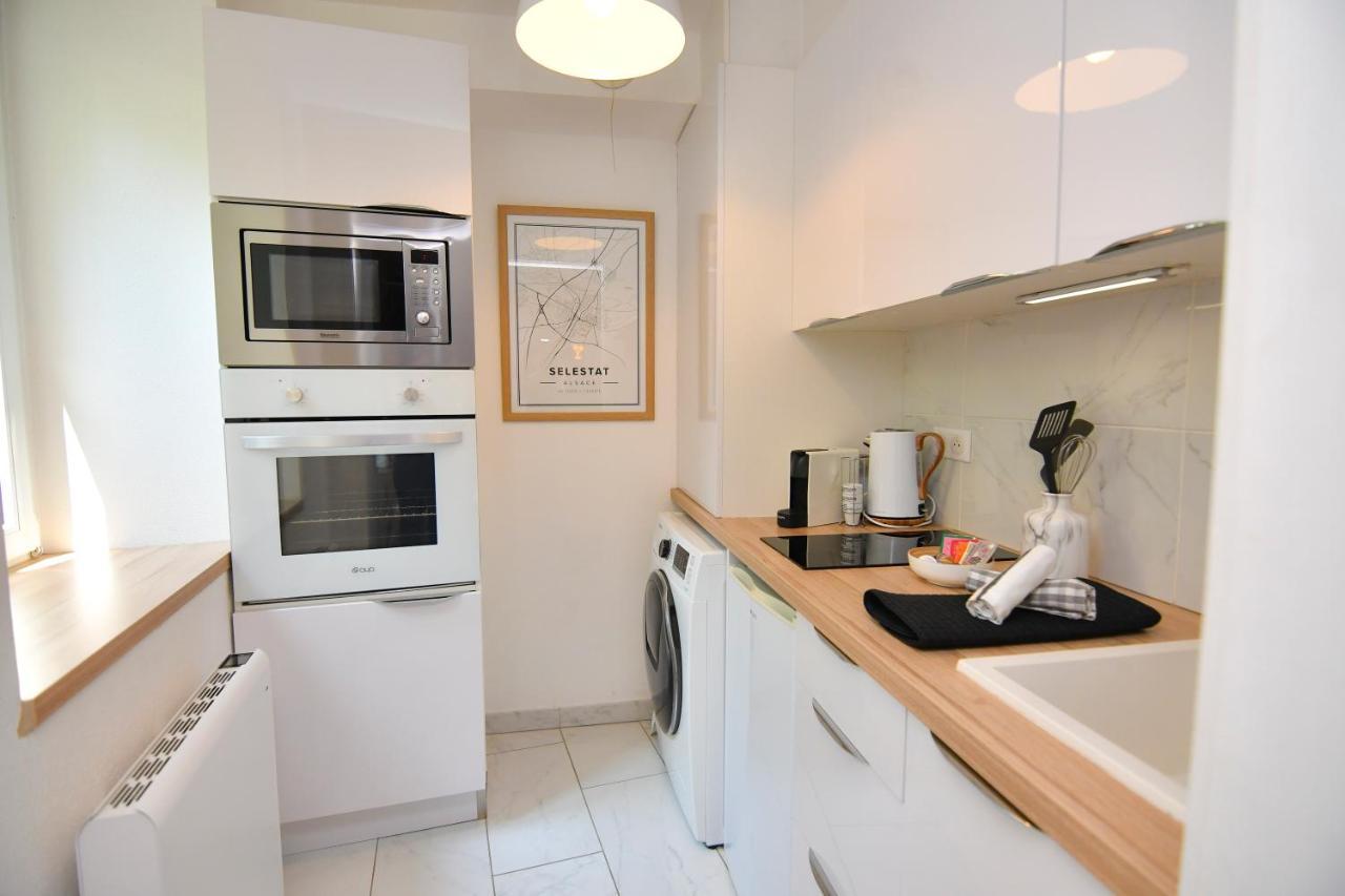 Le Nid Cosy - En Plein Coeur De Selestat Apartment Exterior photo
